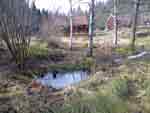 Från skogen