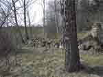 Skogen Skränge
