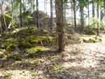Bergstugan, grund, maj 2013