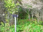 Vinneberg Humpen