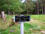 Vinneberg Ljungsberg